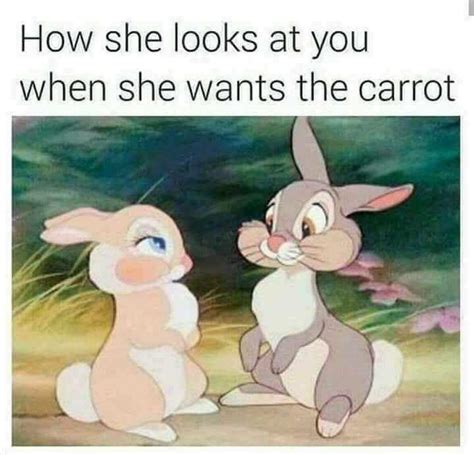 cute flirty memes|30 Hilariously Flirty Memes To Get Your Crush’s。